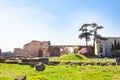 The ruins of the Circus Maximus and ruins of the Domus Augustana on Palatine Hill, Rome. Royalty Free Stock Photo