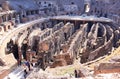 Ruins of the Colosseum of Rome, Italy Royalty Free Stock Photo