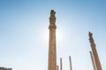 Ruins of columns in the Persepolis in Shiraz, Iran. The ceremonial capital of the Achaemenid Empire. UNESCO World Heritage Royalty Free Stock Photo