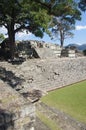 Copan Ruins East Court Royalty Free Stock Photo