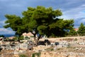 Ruins in Corinth, Greece - archaeology background Royalty Free Stock Photo