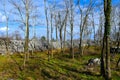 Ruins of Debela Griza hillfort wall near Komen and Volcji Grad, Kras