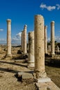 Ruins of the Decapolis city Beth Shean in Israel Royalty Free Stock Photo