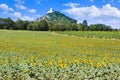 Ruins of Devicky castle, Palava region, South Moravia, Czech republi Royalty Free Stock Photo