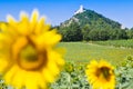 Ruins of Devicky castle, Palava region,  South Moravia, Czech republi Royalty Free Stock Photo