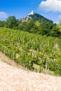 Ruins of Devicky castle, Palava region, South Moravia, Czech republi Royalty Free Stock Photo