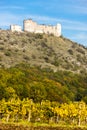 ruins of Devicky Castle with vineyard in autumn, Czech Republic