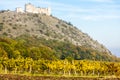 ruins of Devicky Castle with vineyard in autumn, Czech Republic