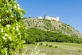 ruins of Devicky Castle with vineyard, Czech Republic