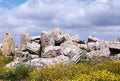 Ruins of a doric greek temple in Selinunte
