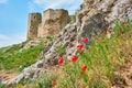 Ruins of the Enisala fortress with red poppies near its walls. Olso referred to as Heracleea Fortress, near Razim lake.