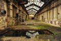 Ruins of factory building with vegetation taking back