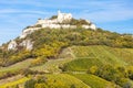 ruins of Falkenstein Castle with vineyard in autumn, Lower Austr