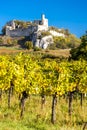 ruins of Falkenstein Castle with vineyard in autumn, Lower Austr