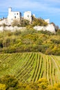 ruins of Falkenstein Castle with vineyard in autumn, Lower Austr Royalty Free Stock Photo