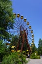 The ruins of a ferris wheel sit in an abandoned amusement park in Pripyat, Ukraine, evacuated after the Chernobyl disaster