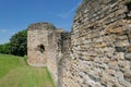 The ruins of Flint Castle