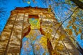 Ruins in the forest surrounded by trees Royalty Free Stock Photo