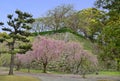 Ruins of Fukuoka castle, Japan.