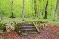 The ruins of a gazebo in the forest Royalty Free Stock Photo