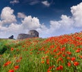 The ruins of the Genoese fortress Royalty Free Stock Photo