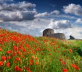 The ruins of the Genoese fortress Royalty Free Stock Photo