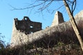 Ruins of castle Castel Romano Royalty Free Stock Photo