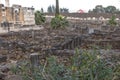 Ruins of the great synagogue of Capernaum Royalty Free Stock Photo