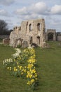 The Ruins of Greyfriars Friary, Suffolk