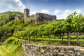 Ruins of Hinterhaus castle. Spitz, Wachau valley. Austria.