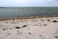 Ruins of Historical Wooden Bridge Crossing Copano Bay Texas Royalty Free Stock Photo