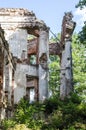 Ruins of homestead of OnuÃÂ¡kis Manor house Royalty Free Stock Photo