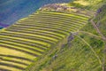 Ruins of inca town of Pisac on the green hill with farming terraces and hiking trail