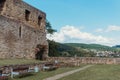 Ruins, ruins of the inner European courtyard of the old castle, abbey, county with a beautiful flowering rose bush and blue sky. Royalty Free Stock Photo