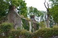 Ruins of Ireland Royalty Free Stock Photo