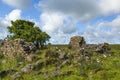 Ruins on Islay.