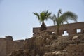 Ruins of Karnak Temple complex with palm trees (ancient Thebes). Luxor, Egypt, museum, travel. Royalty Free Stock Photo