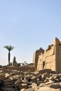 Ruins of Karnak Temple complex with palm trees (ancient Thebes). Luxor, Egypt, museum, travel. Royalty Free Stock Photo