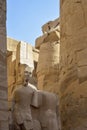 Ruins of Karnak Temple complex with sculptures, statues and columns carved with ancient Egyptian hieroglyphs and symbols Royalty Free Stock Photo