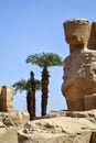 Ruins of Karnak Temple complex with sculptures, statues and columns carved with ancient Egyptian hieroglyphs and symbols Royalty Free Stock Photo