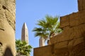 Ruins of Karnak Temple complex with statues, sculptures and columns carved with ancient Egyptian hieroglyphs and symbols Royalty Free Stock Photo