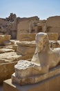Ruins of Karnak Temple complex with statues, sculptures, sphinxes and pillars Royalty Free Stock Photo