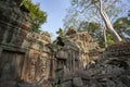 Ruins of Ta Prohm - Angkor Wat - Cambodia Royalty Free Stock Photo