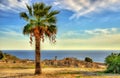 Ruins of Kourion, an ancient city in Cyprus Royalty Free Stock Photo