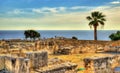 Ruins of Kourion, an ancient city in Cyprus Royalty Free Stock Photo