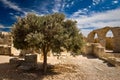 The ruins of Kourion. Cyprus
