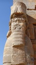 Ruins of a Lamassu Statue in Persepolis, Iran