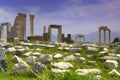 The Ruins of Laodicea a city of the Roman Empire in modern-day , Turkey,Pamukkale.