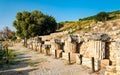 Ruins of the Letoon in Turkey