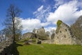 Ruins of the LÃÂ¶wenburg in Siebengebirge next to Bonn Royalty Free Stock Photo